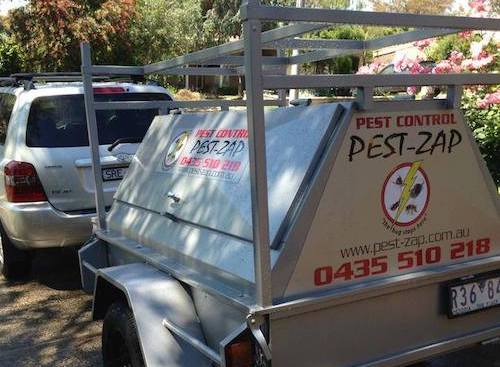 image of pest control service in Melbourne