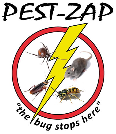 Pest Control in Bayswater